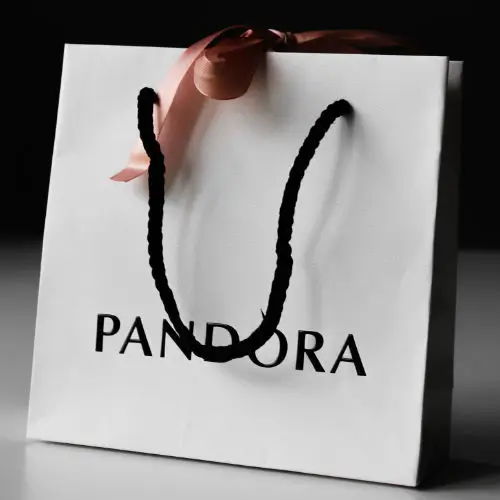 Printed Laminated Paper Bags